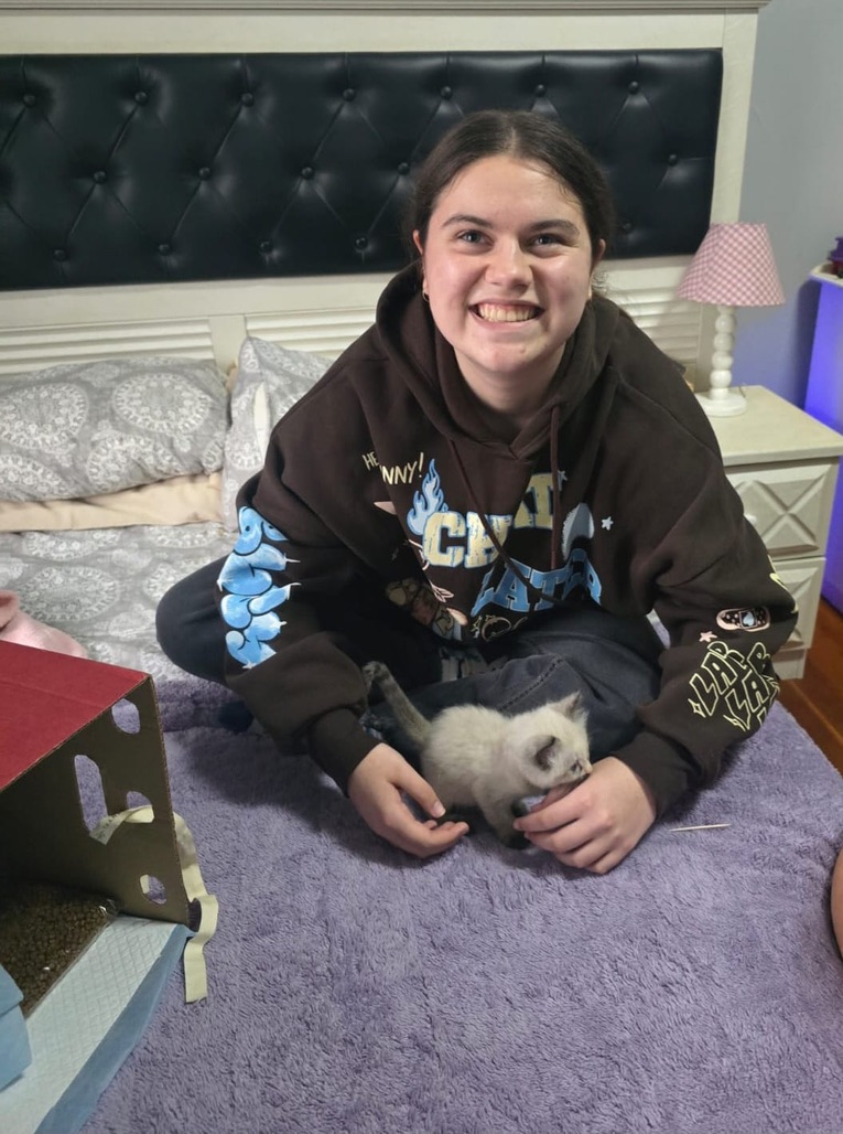 Cat meeting a new adopter