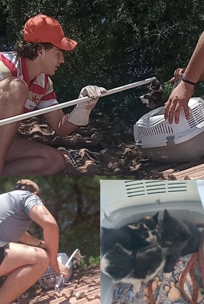 Rescue in progress